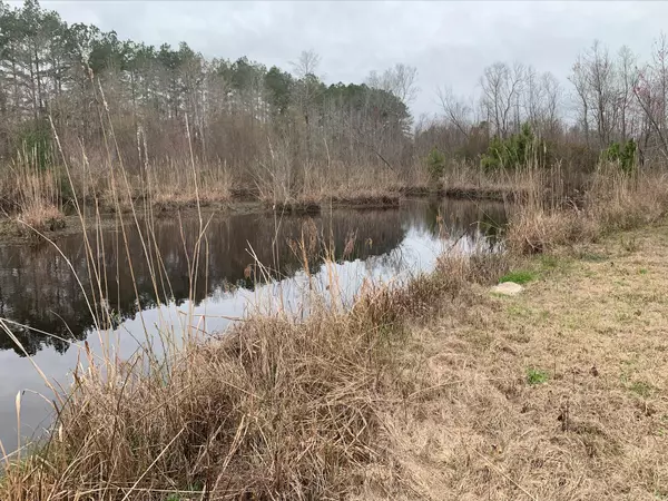 Branchville, SC 29432,0 Fair Oaks Ct