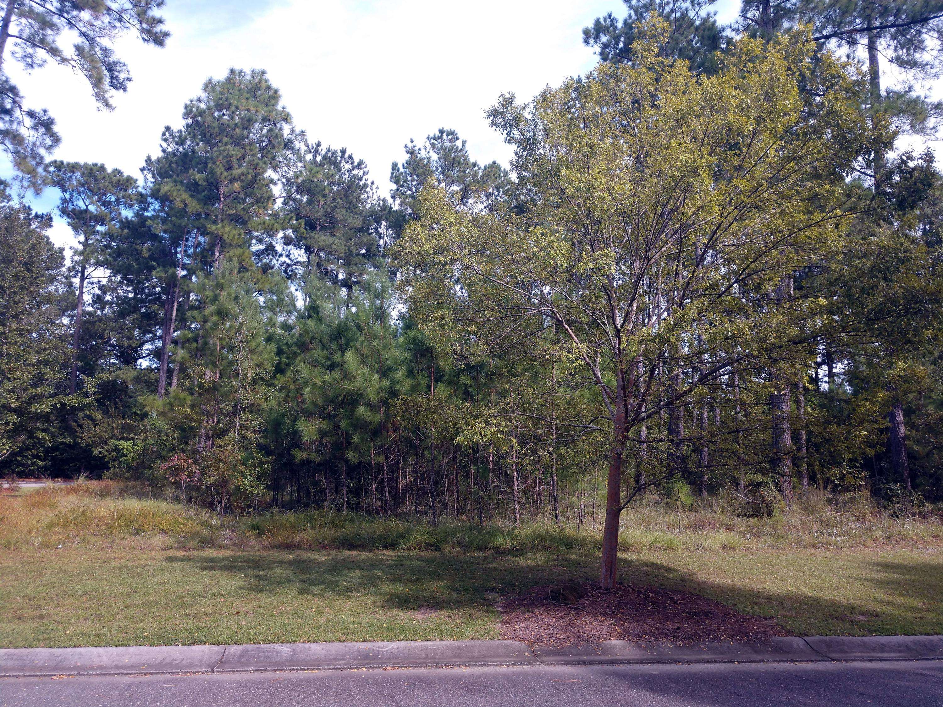 219 Summer Breeze Way, Moncks Corner, SC 29461