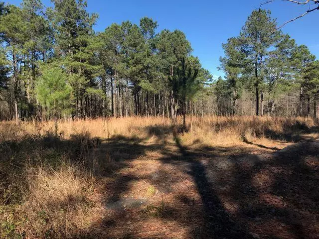 Saint Stephen, SC 29479,147 Wisteria Falls Trl