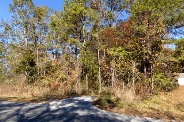 Ravenel, SC 29470,6152 Brown Way