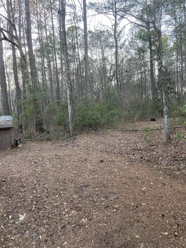 Cottageville, SC 29435,122 Goos Ln