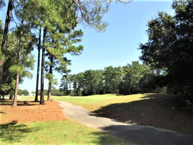 Lots 9, 10 Plantation Dr & Green Ct, Santee, SC 29142