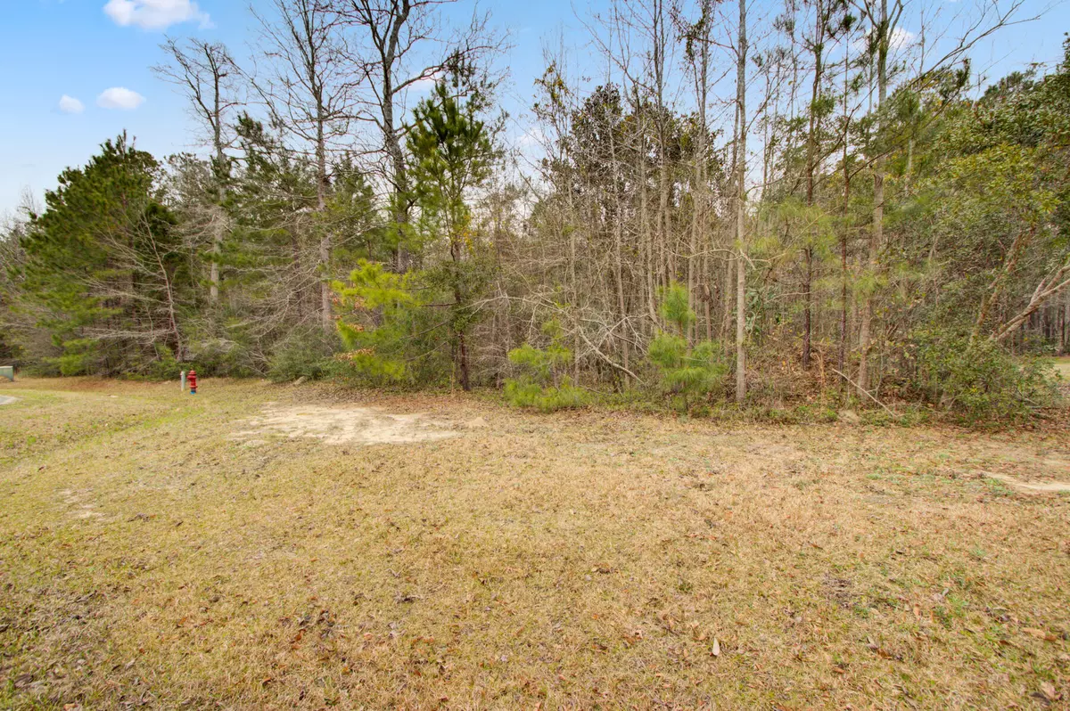 Moncks Corner, SC 29461,226 Spotted Owl Ln