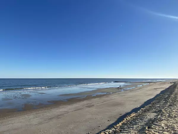 Edisto Island, SC 29438,124 Palmetto Blvd