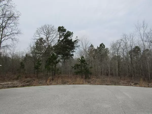 1251 Wild Rose Ct, Manning, SC 29102