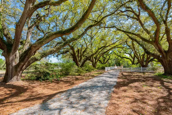 Charleston, SC 29407,1050 Avenue Of Oaks