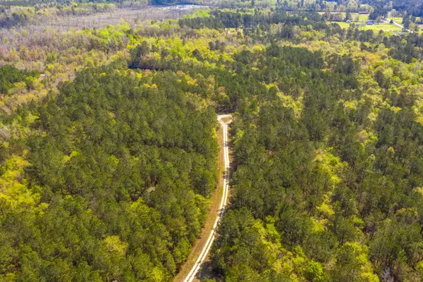 Saint Stephen, SC 29479,010 Shiver Farms Ln