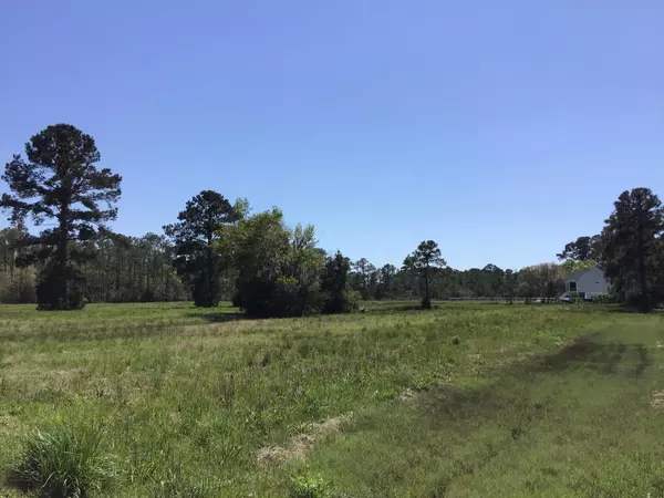 Meggett, SC 29449,Tract B Wilson Rd