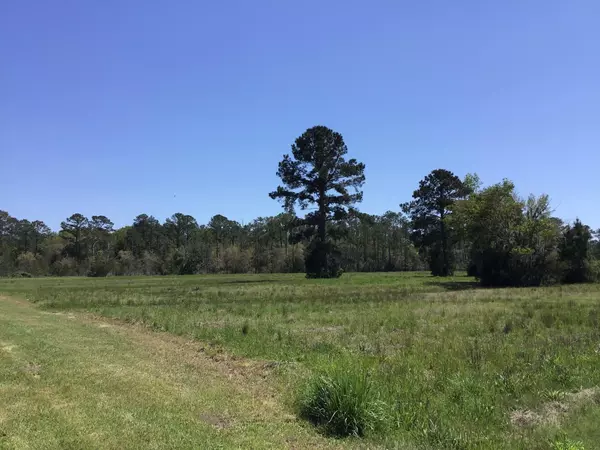 Tract B Wilson Rd, Meggett, SC 29449