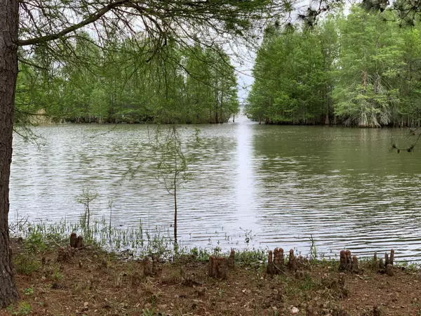 Bonneau, SC 29431,106 Lily Pad Ln