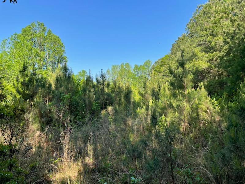 4725 Summit Plantation Rd, Meggett, SC 29449