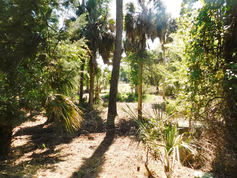 A-9 Oristo Ridge, Edisto Beach, SC 29438