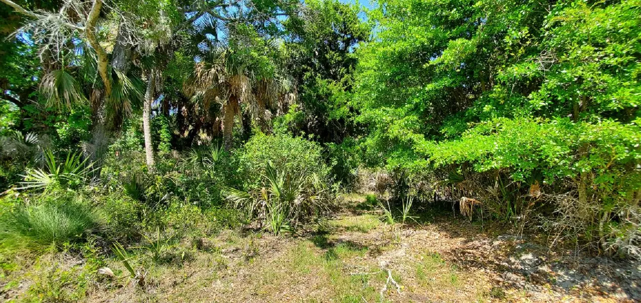 3103 Fort St, Edisto Island, SC 29438