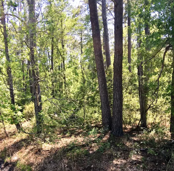 Smoaks, SC 29481,0 Low Country Hwy