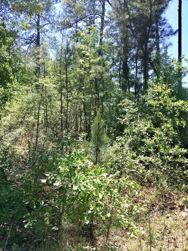 Smoaks, SC 29481,0 Low Country Hwy