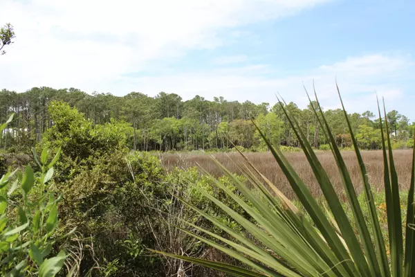 139 Cotton Bay Rd, Edisto Island, SC 29438