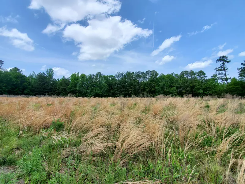 0 Reeves Branch Rd, Branchville, SC 29432