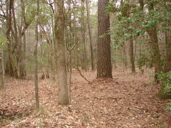 North Charleston, SC 29405,4370 Ashley River Rd.