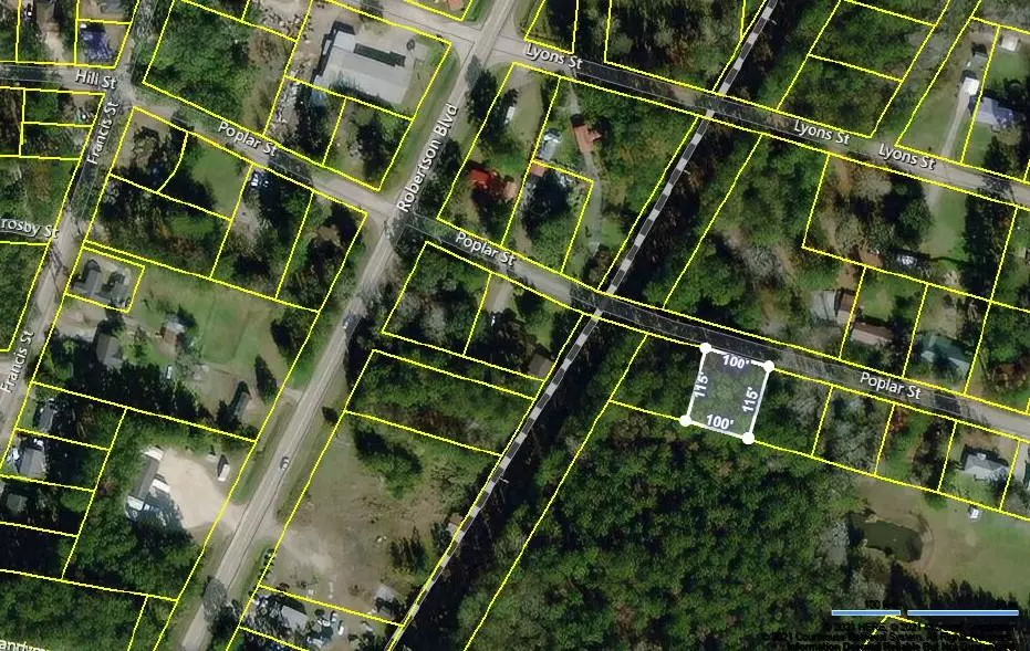 Walterboro, SC 29488,00 Poplar St #Lot 308