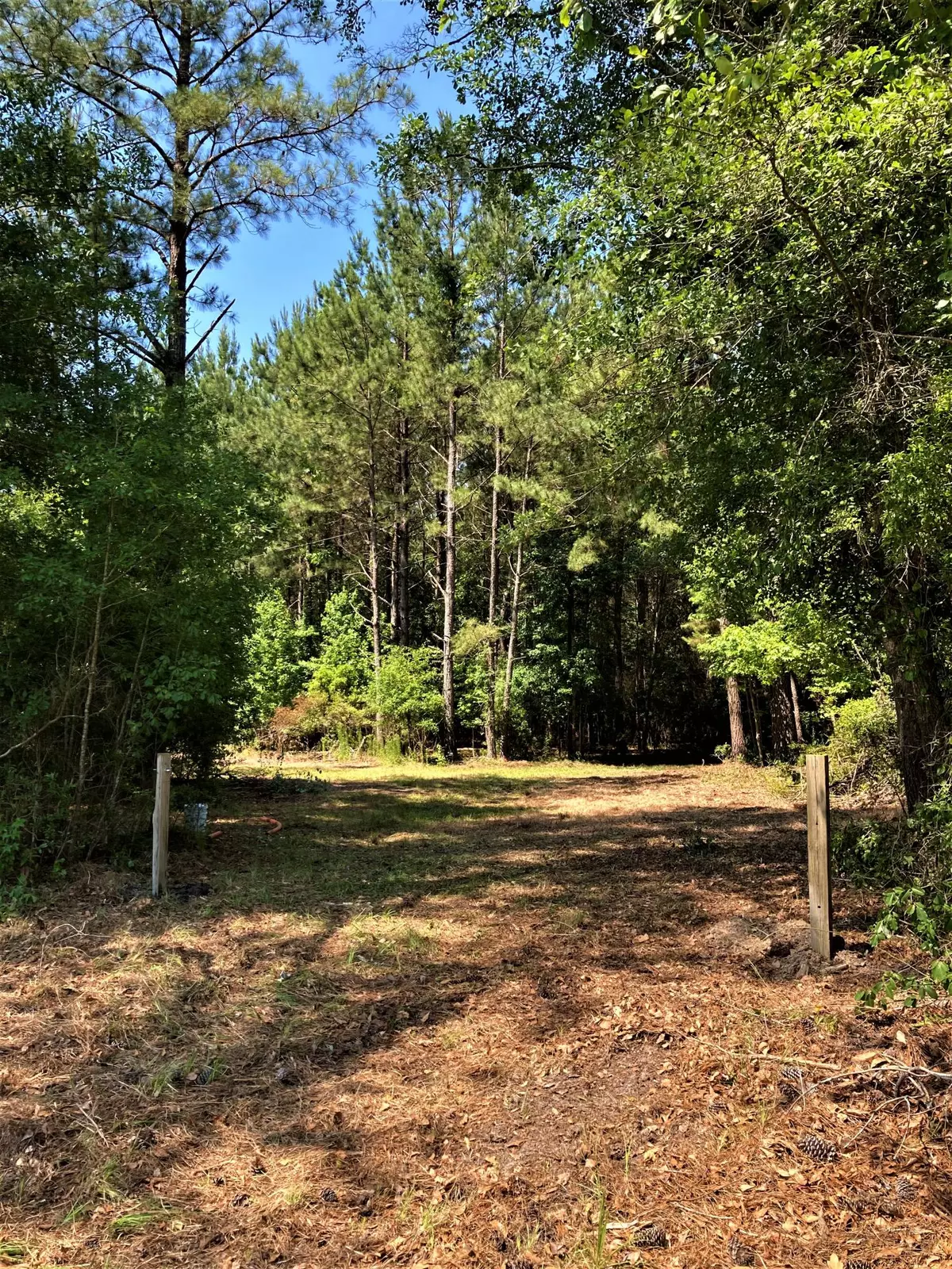 Cottageville, SC 29435,0 Rehoboth Rd