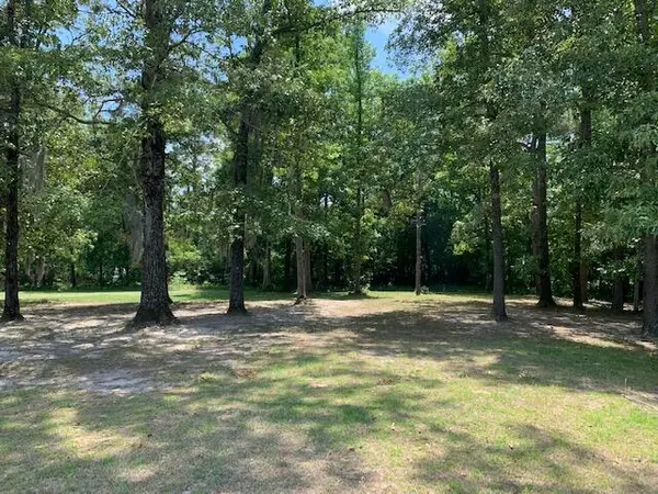 69 Ridge Lake(Lot 17) Dr, Manning, SC 29102