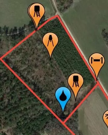 Cameron, SC 29030,00 Gramling Rd