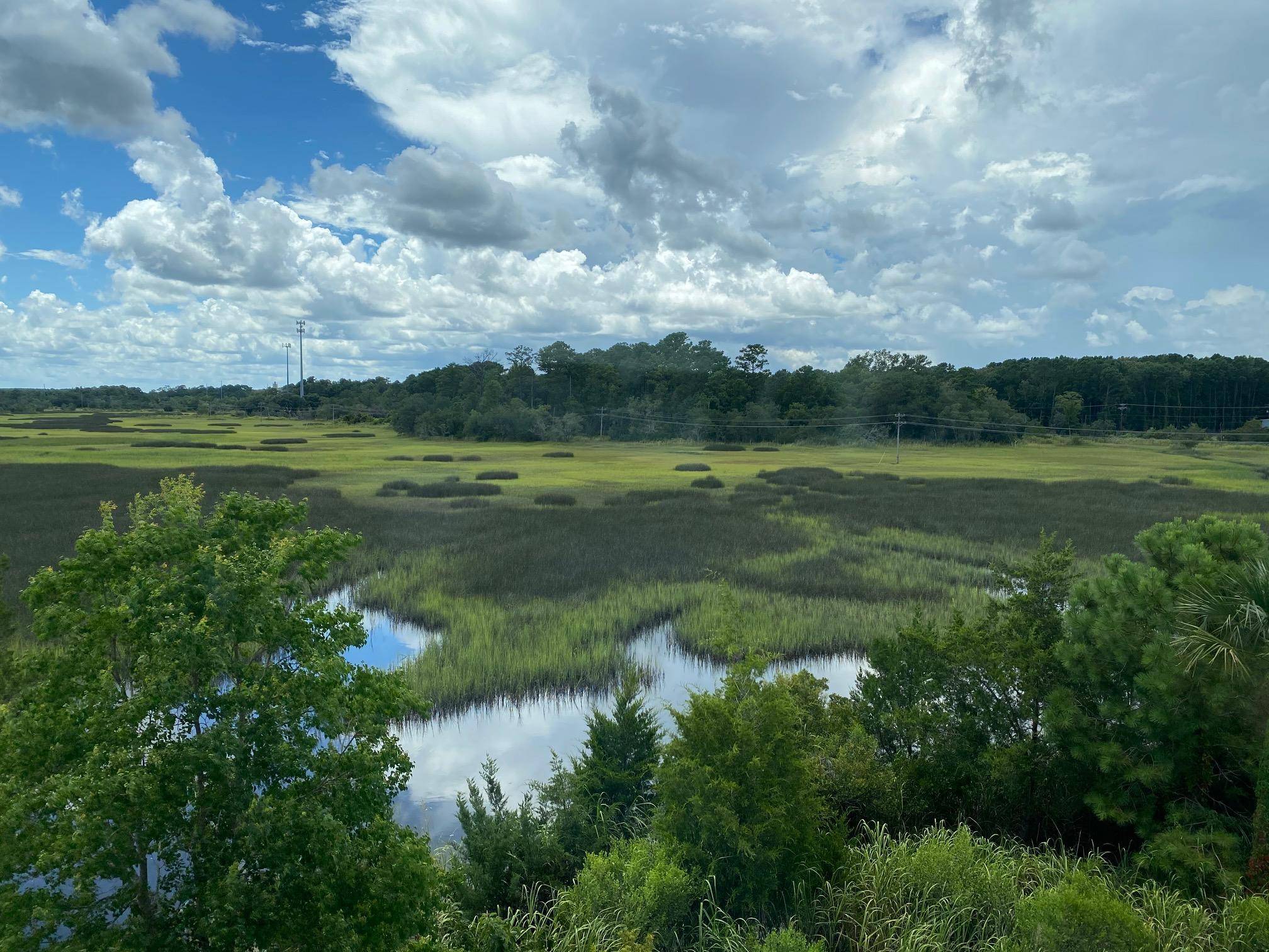 187 Winding River Dr, Johns Island, SC 29455