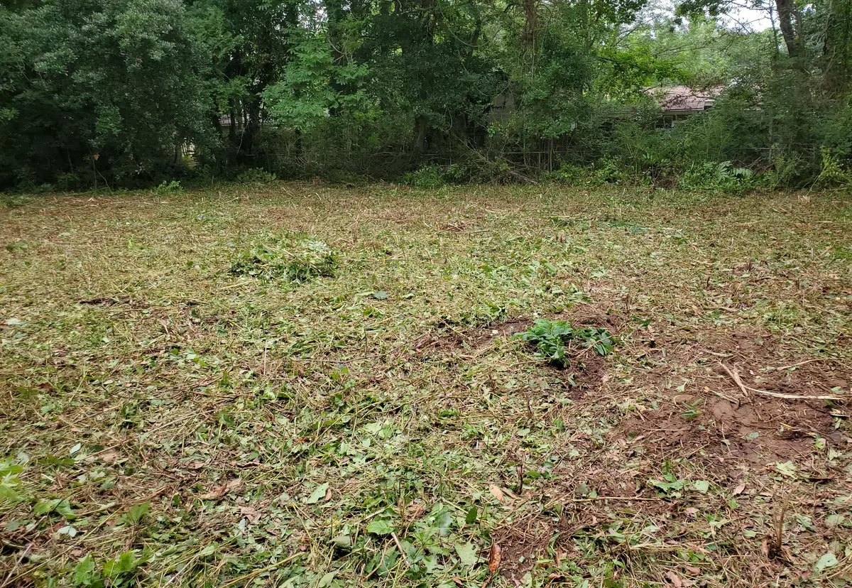 Charleston, SC 29407,1524 W Robinhood Dr