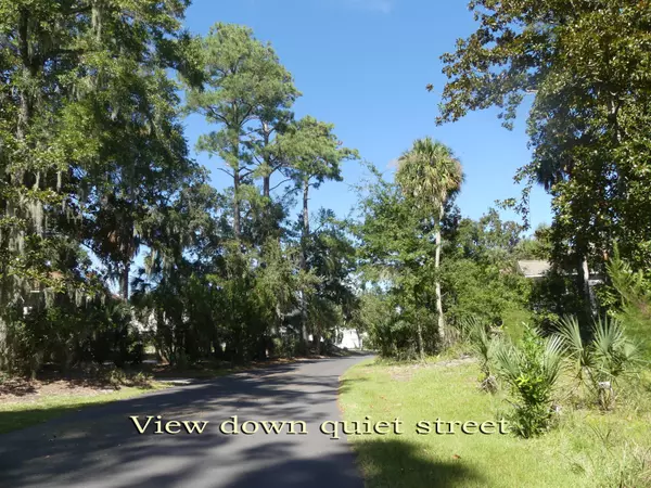 Edisto Island, SC 29438,19 Gun Bluff Rd