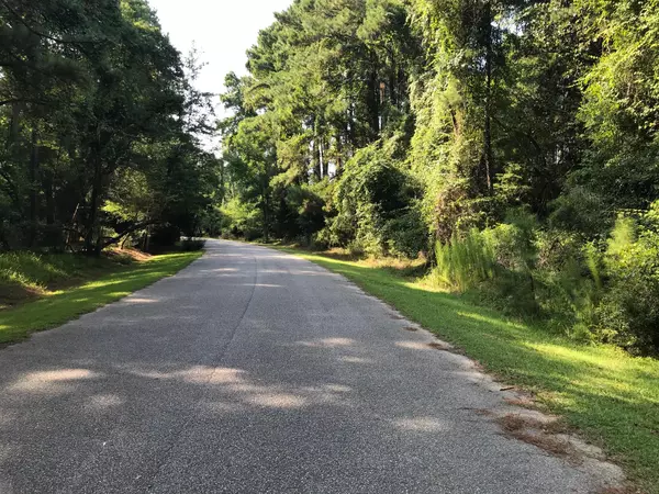 Edisto Island, SC 29438,8468 Middleton Point Ln