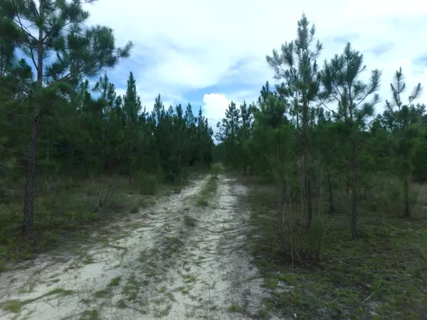 Barnwell, SC 29812,0 Lebanon Rd