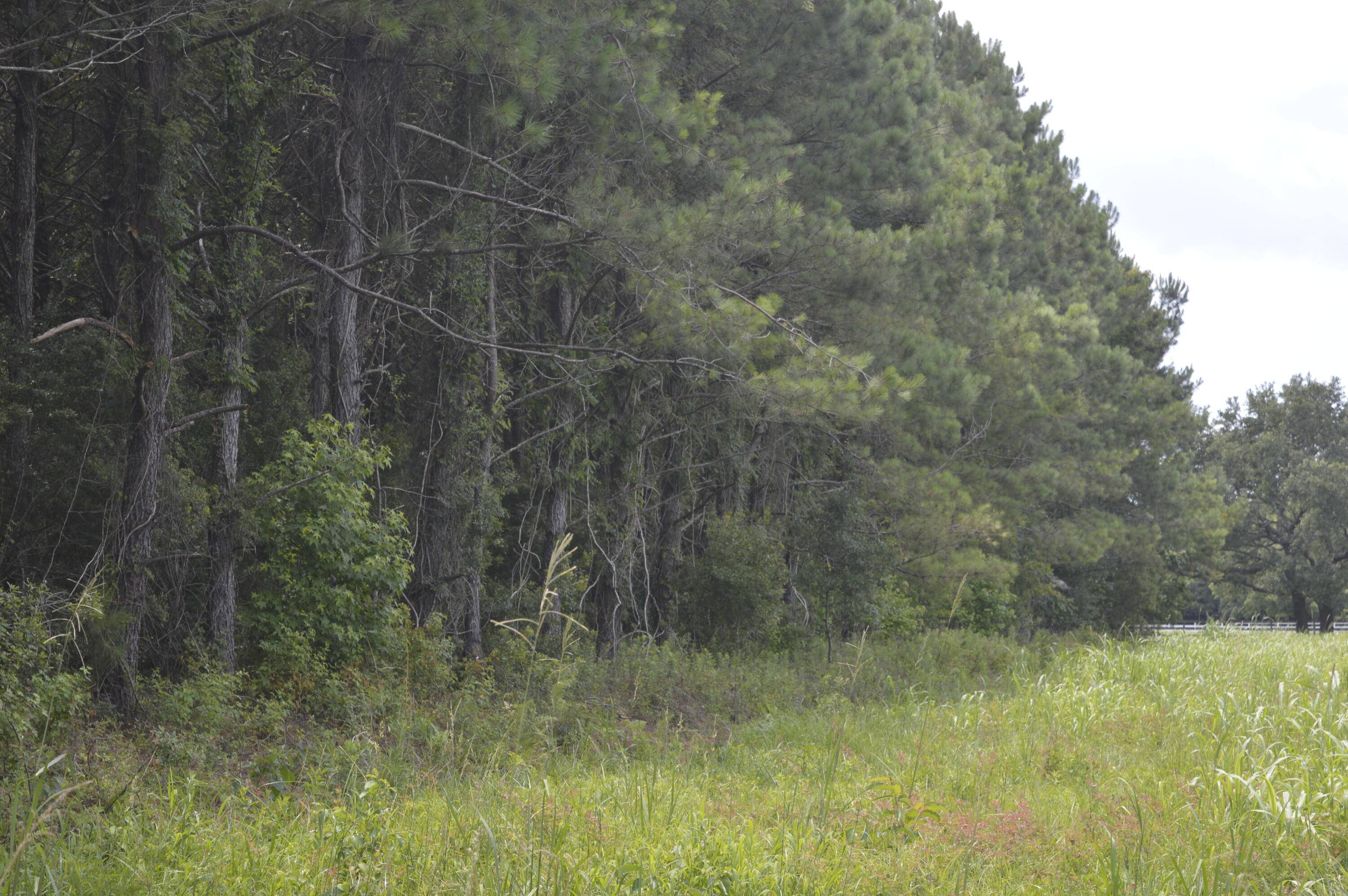Johns Island, SC 29455,2610 Hamilton Rd
