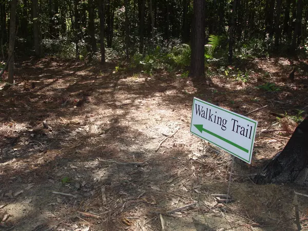 3 Ruth Mitchell Dr., Ravenel, SC 29470
