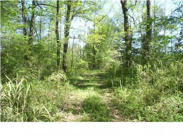 Summerville, SC 29483,00 Pruitt St