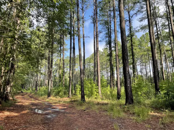 Summerville, SC 29486,0 Wild Cherry Lane