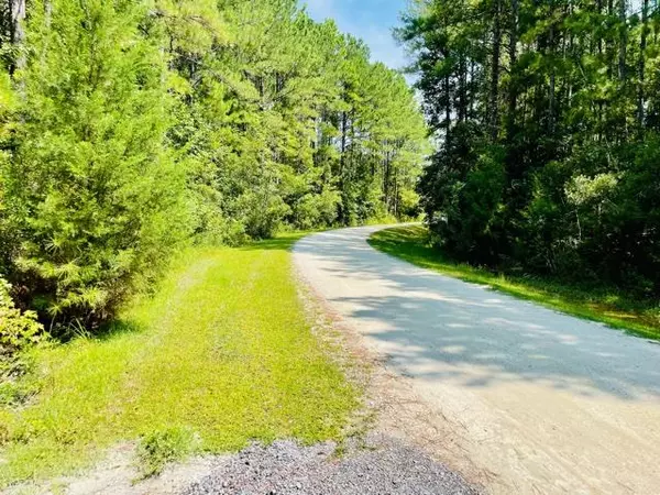 1041 Bridle Gate Trl, Awendaw, SC 29429
