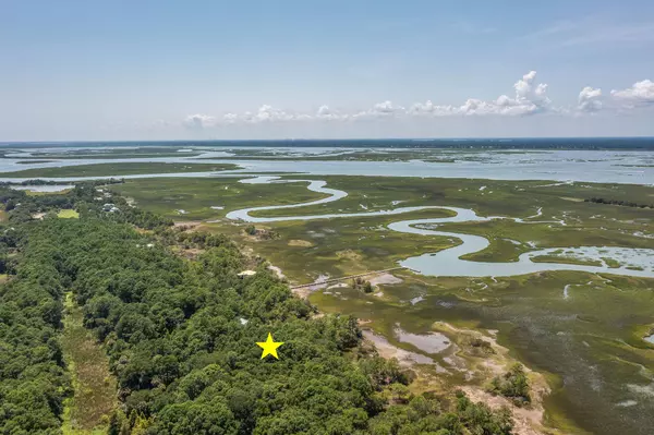 Dewees Island, SC 29451,318 Old House Ln #Lot 109