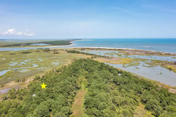 Dewees Island, SC 29451,318 Old House Ln #Lot 109