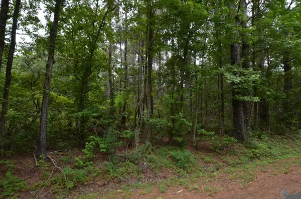 Mcclellanville, SC 29458,0 Society Rd