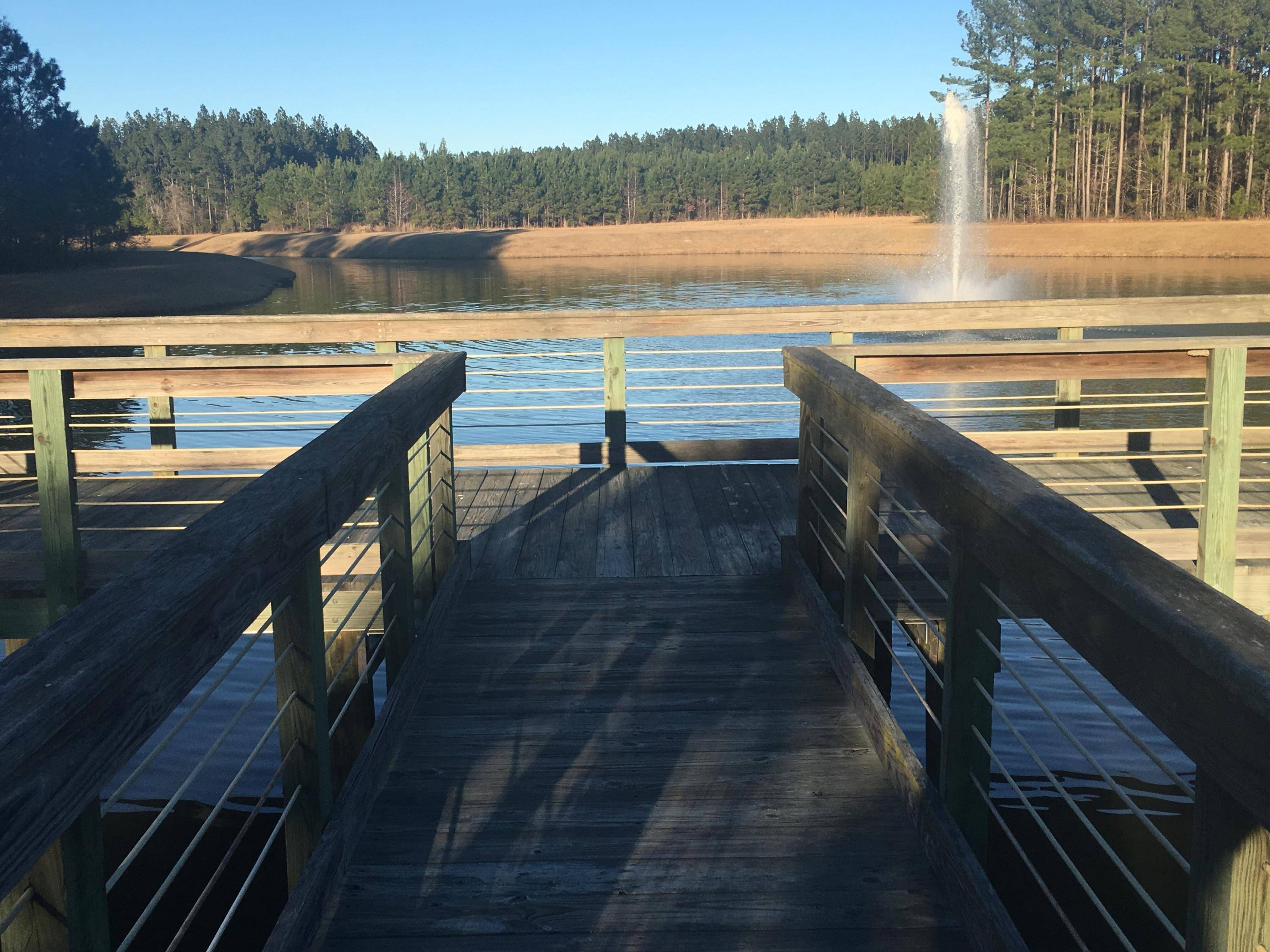 1005 Beak Rush Ct, Moncks Corner, SC 29461