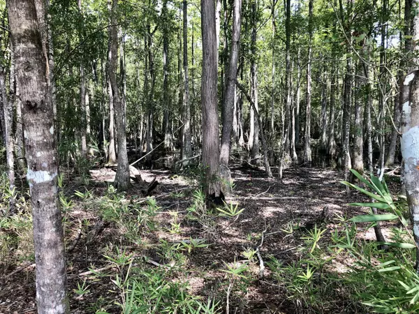 Saint Stephen, SC 29479,0 Schurlknight Rd