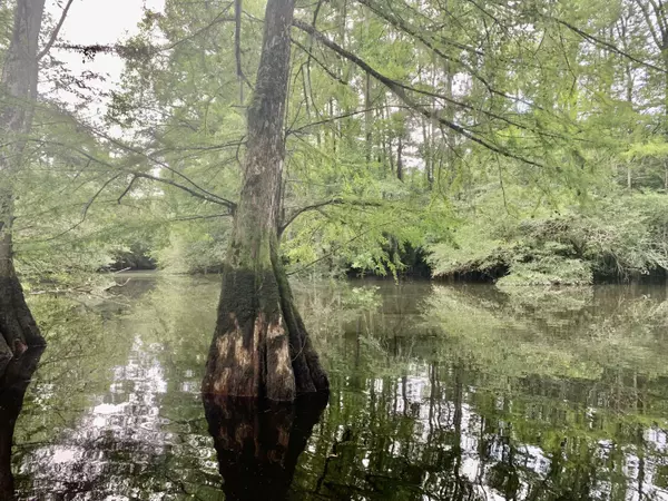 Branchville, SC 29432,1 Repose Rd