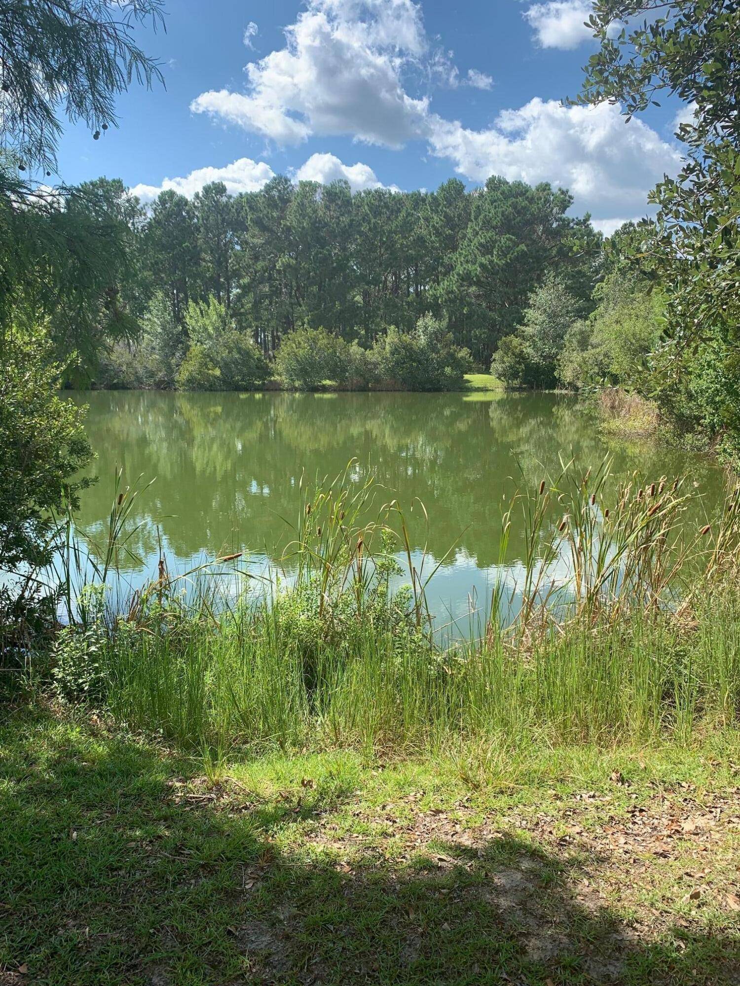 Johns Island, SC 29455,2395 Rushland Landing Rd