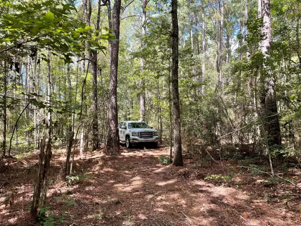 Saint Stephen, SC 29479,0 Heaven Drive