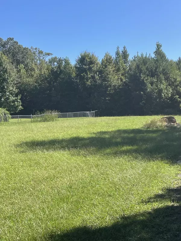 Jacksonboro, SC 29452,00 Hope Plantation Ln