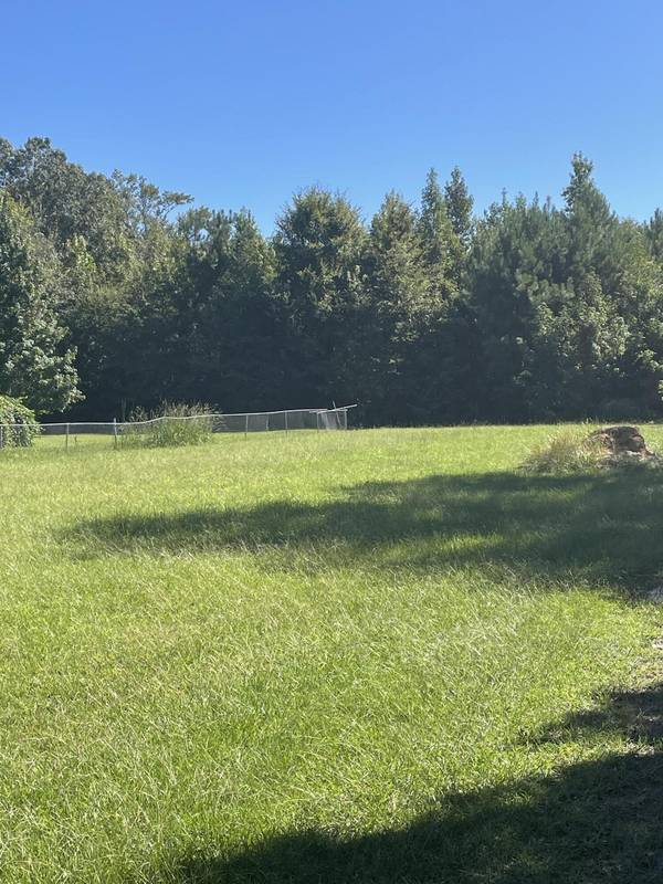 Jacksonboro, SC 29452,00 Hope Plantation Ln