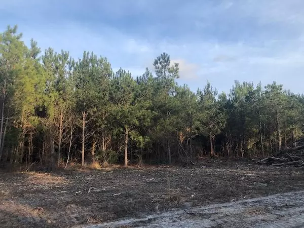 0 Bama Rd #(Lot #4), Cottageville, SC 29435