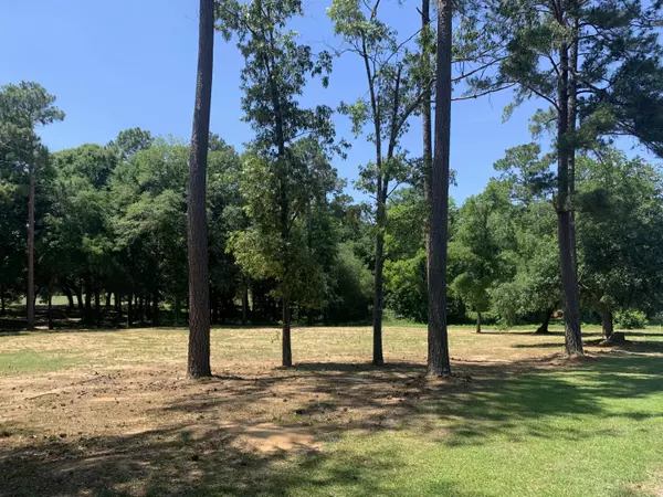 Lot 5 Saluda Dr, Santee, SC 29142