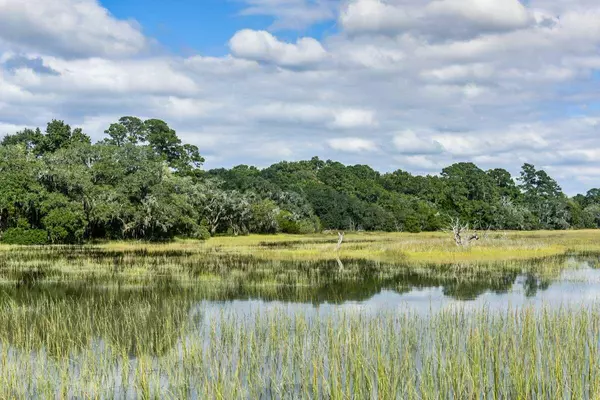 Wadmalaw Island, SC 29487,0 Black Pond Ln