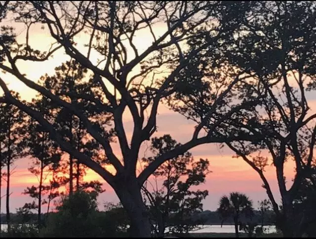 Charleston, SC 29492,807 Lachicotte Creek Dr